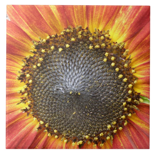 Azulejo de girassol vermelho e amarelo (Frente)