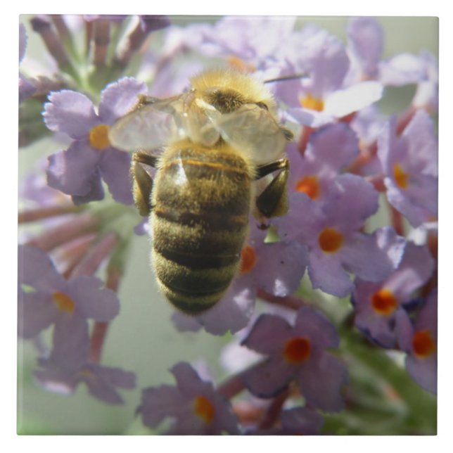 Azulejo de Honeybee e Buddleia (Frente)