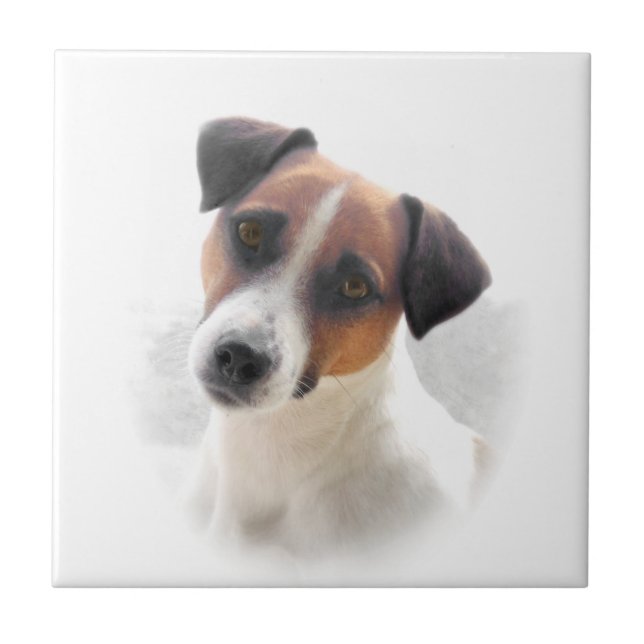 Azulejo de Jack Russel Terrier (Frente)