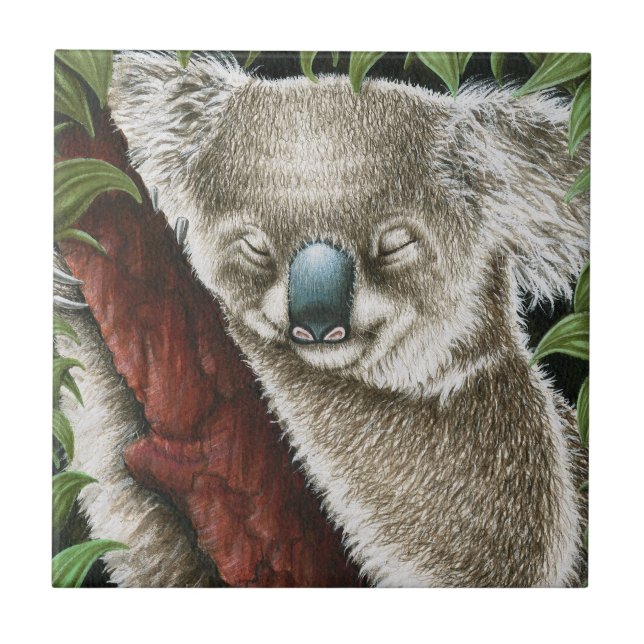 Azulejo de Koala dormindo (Frente)
