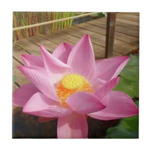 Azulejo de Lily Cerâmica