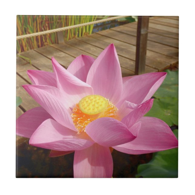 Azulejo de Lily Cerâmica (Frente)