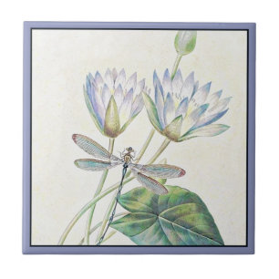 Azulejo de lótus e libélula