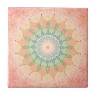 Azulejo de Mandala Geométrico Colorido - Obra Digi