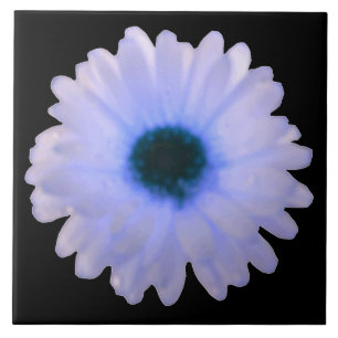 Azulejo de Marigold branco e azul
