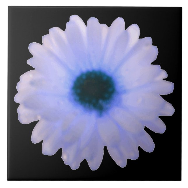 Azulejo de Marigold branco e azul (Frente)