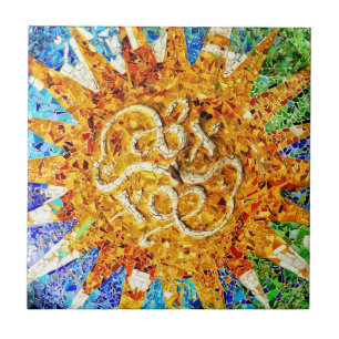 Azulejo de mosaicos de Guell do parque