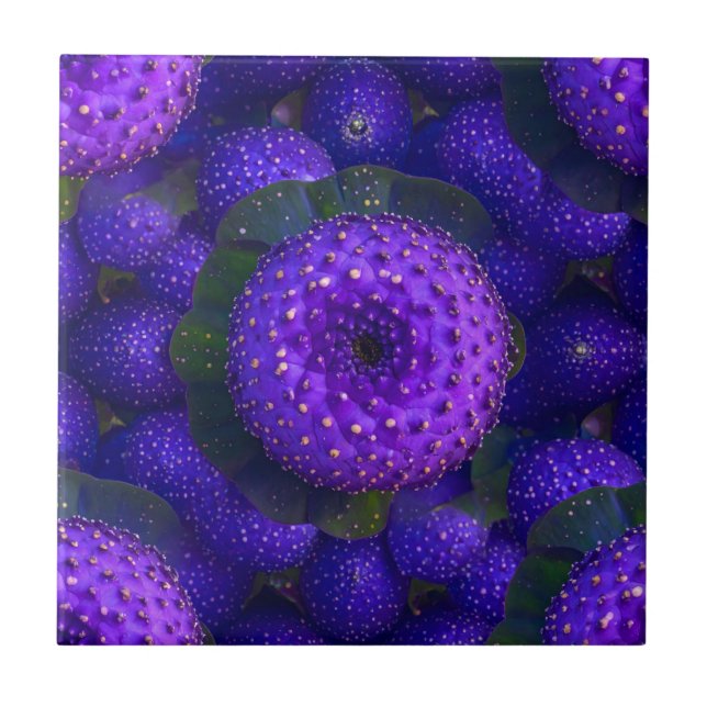 Azulejo de natureza púrpura vibrante com manchas (Frente)