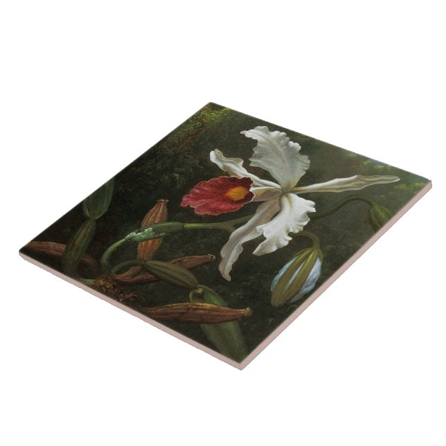Azulejo de Orquídea Cattleya (Lateral)
