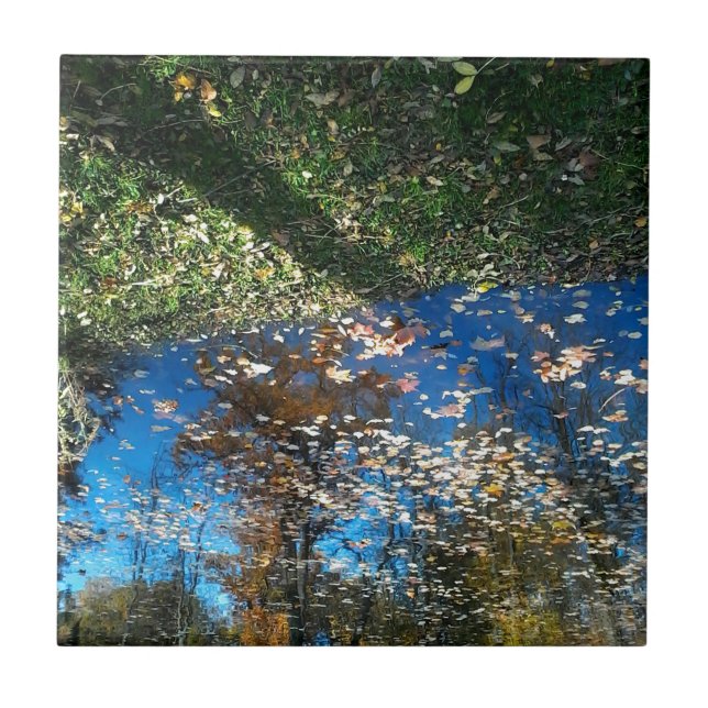 Azulejo de outono do Mirror (Frente)