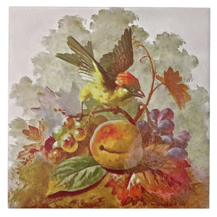 Azulejo de pássaro e Fruta pintado à mão pela R