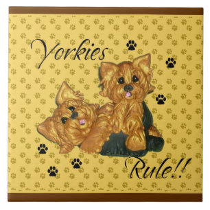 Azulejo de Pawprint da regra de Yorkies