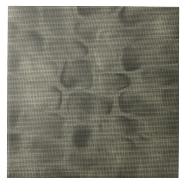 Azulejo de pedra cinzento da textura do teste (Frente)