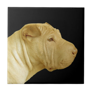 Azulejo de Perfil de Cachorro Shar-Pei Chinês