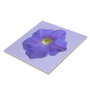 Azulejo de Petunia Azul