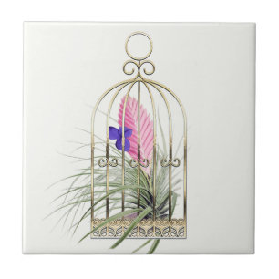 Azulejo de planta aérea Tillandsia em gaiola de pá