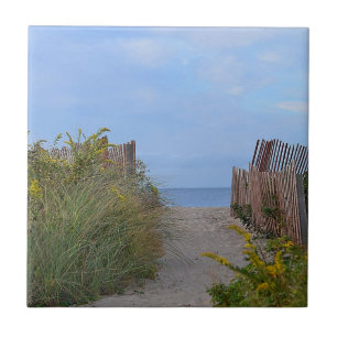 Azulejo de praia de Hammonasset