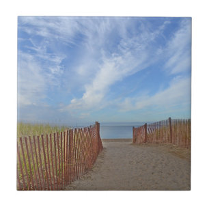 Azulejo de praia de Hammonasset