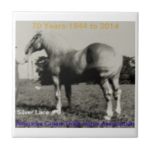 Azulejo de prata do aniversário do laço de ACDHA