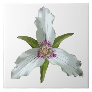 Azulejo de Primavera de Flor Selvagem Pintado