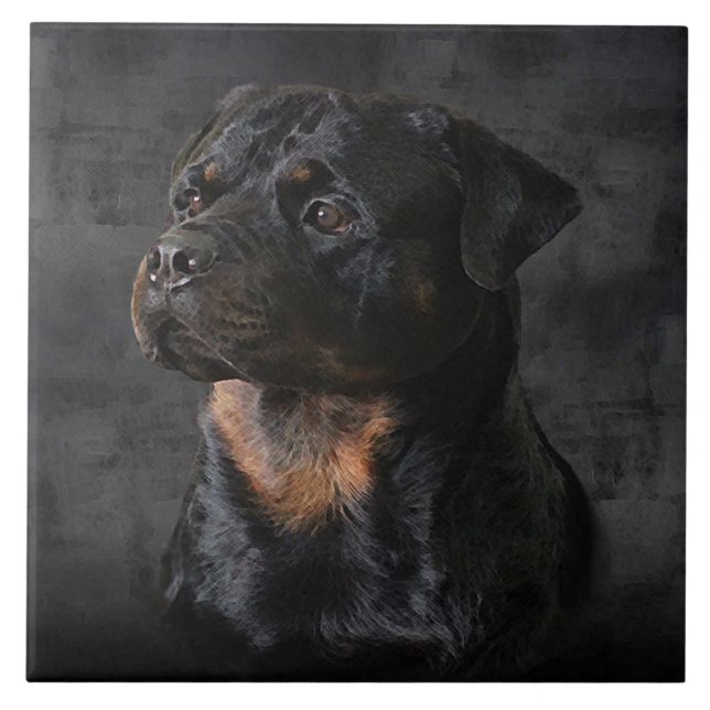 Azulejo de Rottweiler (Frente)