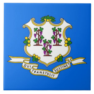 Azulejo de Sinalizador do Estado de Conexão