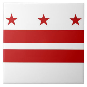 Azulejo de Sinalizador do Estado de Washington