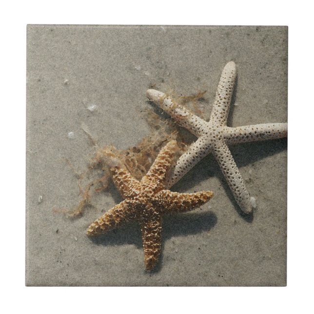 Azulejo de Starfish Cerâmica Trivet (Frente)