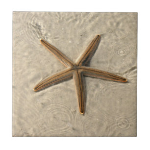 Azulejo de Starfish Cerâmica Trivet