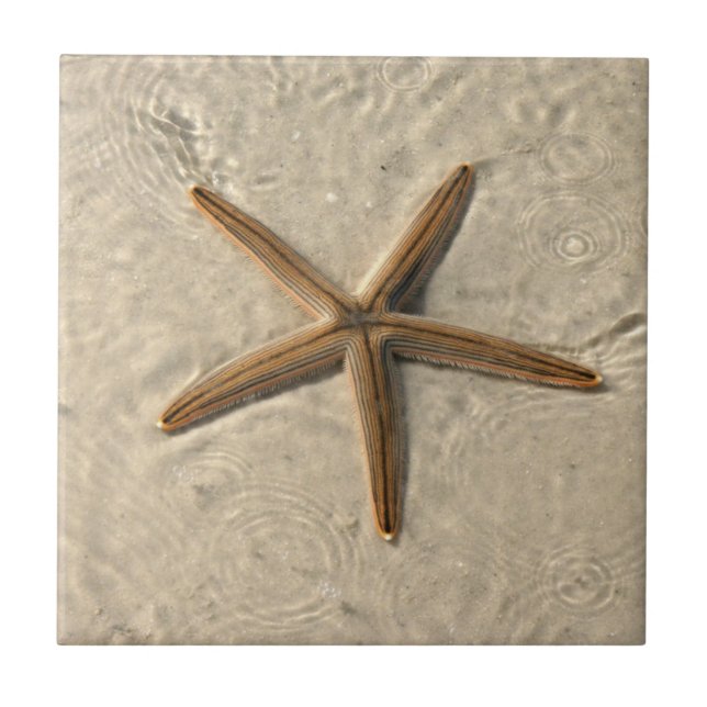 Azulejo de Starfish Cerâmica Trivet (Frente)