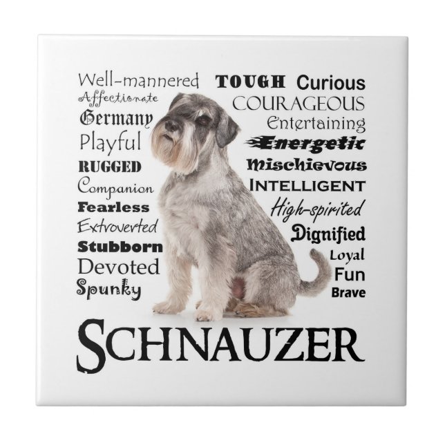Azulejo de Traços Schnauzer (Frente)