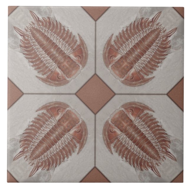 Azulejo de Trilobite (Frente)