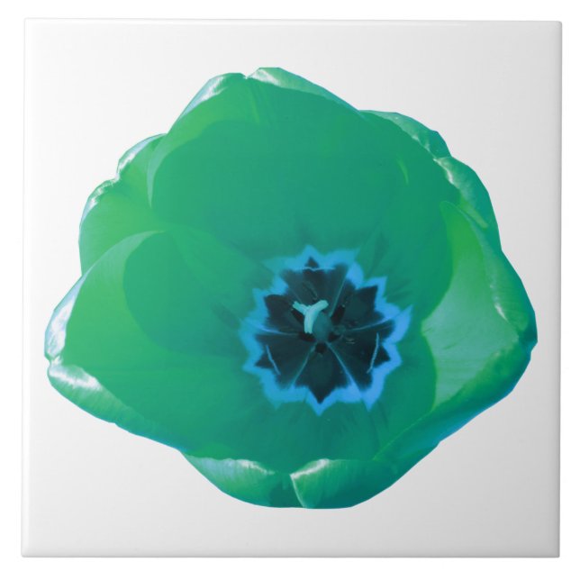 Azulejo de Tulipas Verde e Azul (Frente)