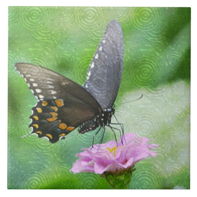 Azulejo de Verão de Borboleta (Frente)