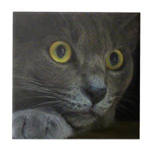 Azulejo decorativo da intensidade