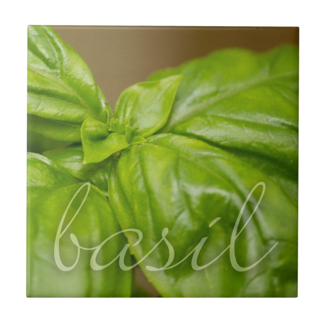 Azulejo decorativo da manjericão (Frente)