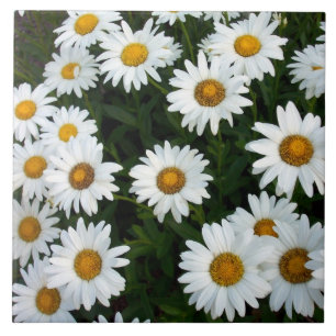 Azulejo Decorativo Daisy