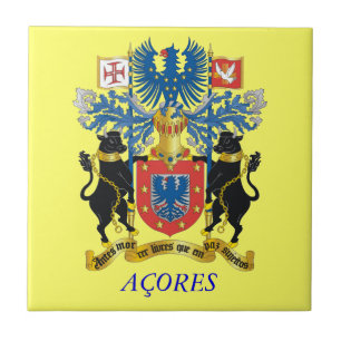 Azulejo Decorativo das Ilhas Açores*