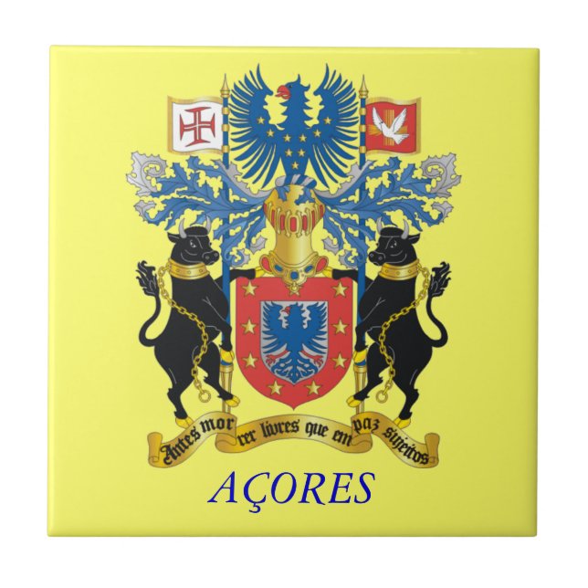 Azulejo Decorativo das Ilhas Açores* (Frente)
