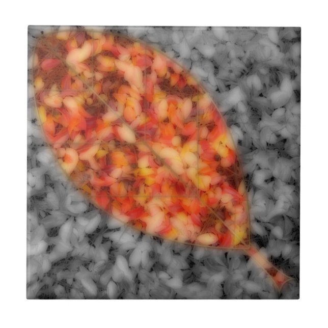 Azulejo Decorativo das Sombras Brilhantes (Frente)