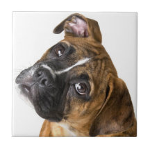 Azulejo decorativo de cão boxer