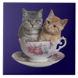 Azulejo Decorativo de Gatinho Malhado Fofinho em X