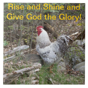 Azulejo decorativo do galo