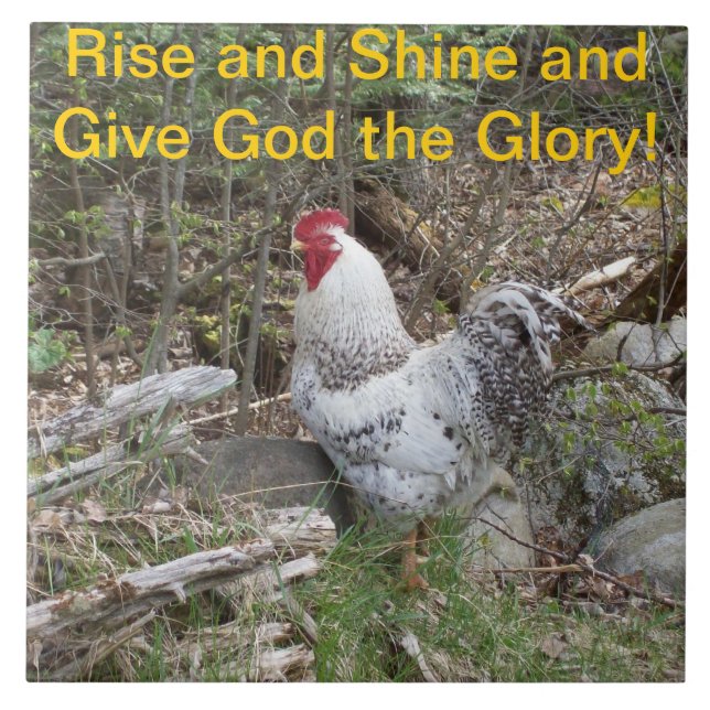 Azulejo decorativo do galo (Frente)