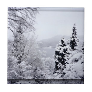 Azulejo Decorativo do Lago Nojiri