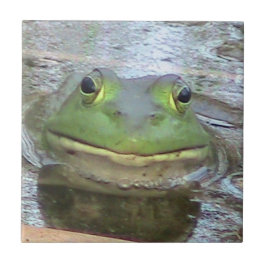 Azulejo decorativo do Sapo