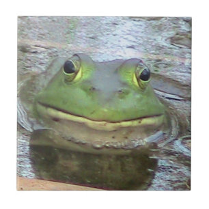 Azulejo decorativo do Sapo