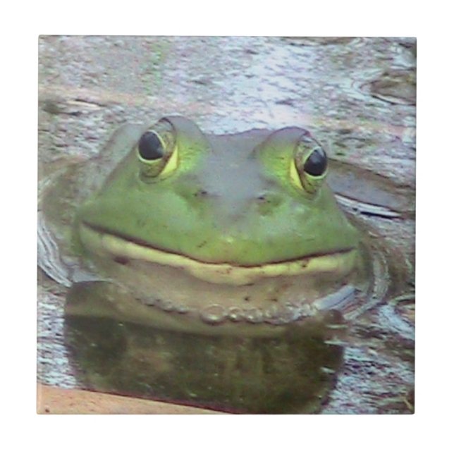 Azulejo decorativo do Sapo (Frente)