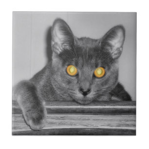 Azulejo Decorativo Dourado