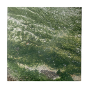 Azulejo Decorativo Verde